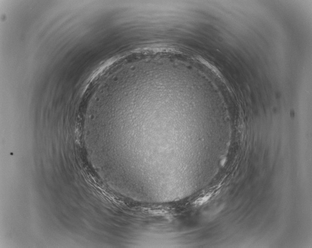 X0000060760823200511141229