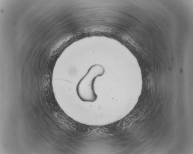 X0000060760824200511141229