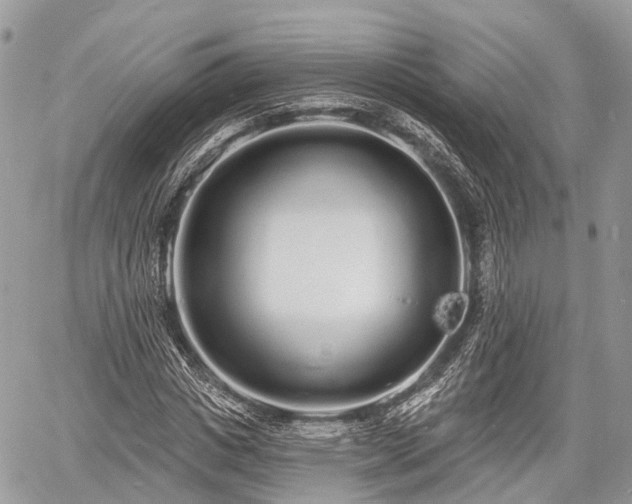 X0000060760825200511141229