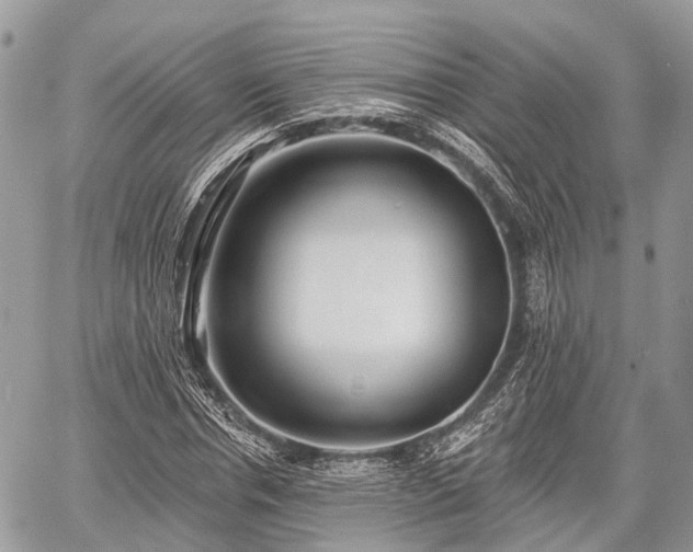 X0000060760826200511141229