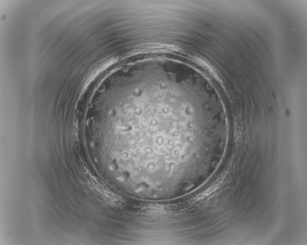 X0000060760827200511141229