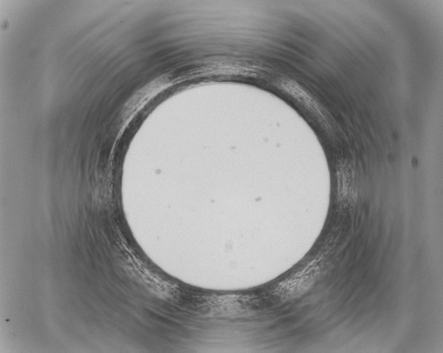 X0000060760828200511141229