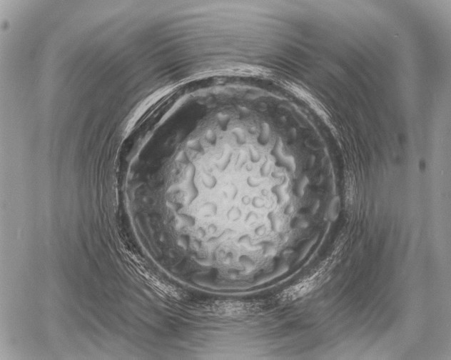 X0000060760829200511141229