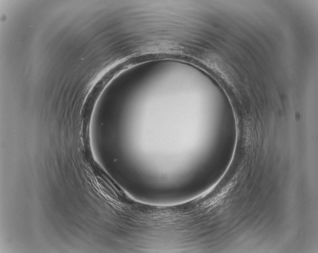 X0000060760830200511141229