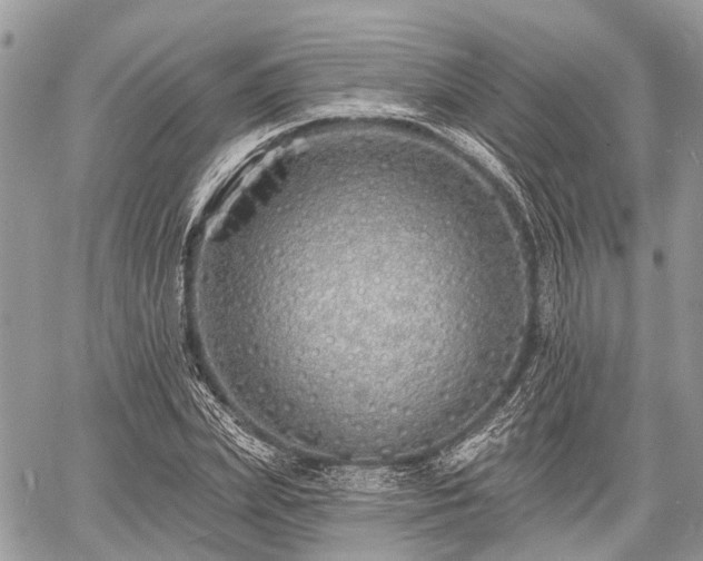 X0000060760831200511141229