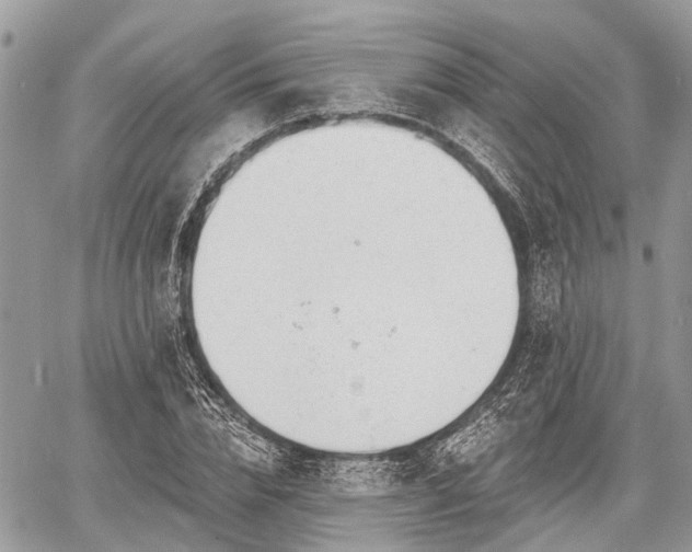 X0000060760832200511141229