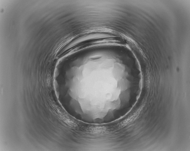 X0000060760833200511141229