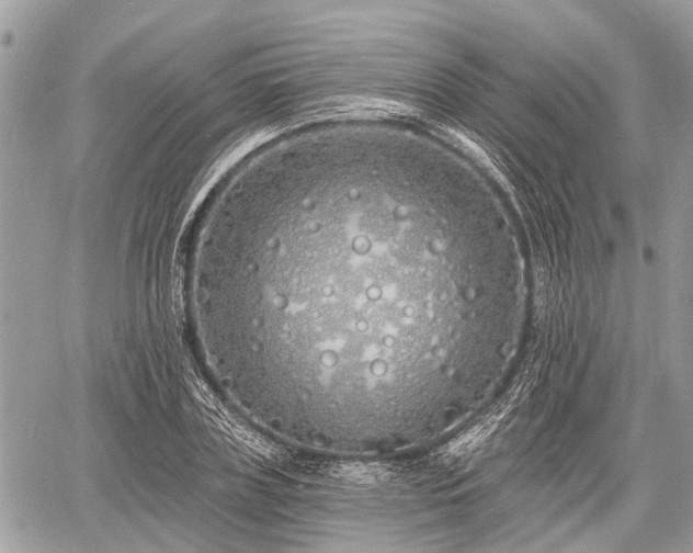 X0000060760835200511141229