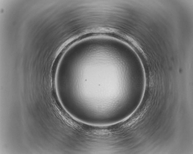 X0000060760837200511141229