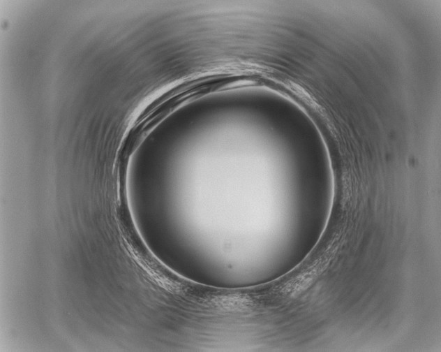 X0000060760838200511141229