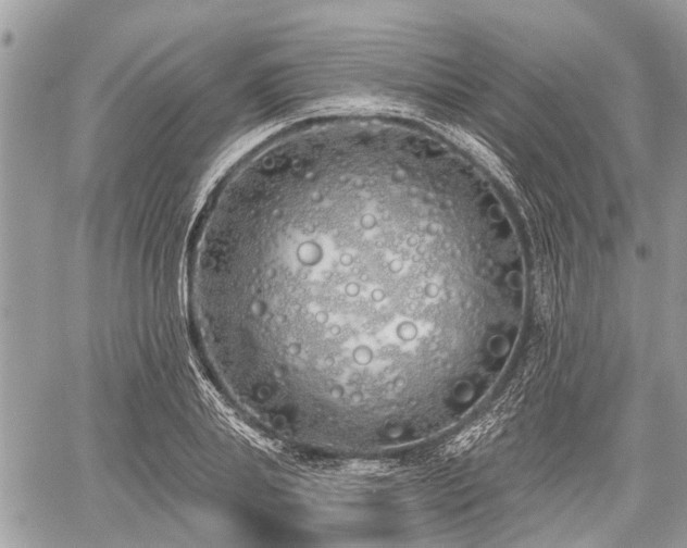 X0000060760839200511141229