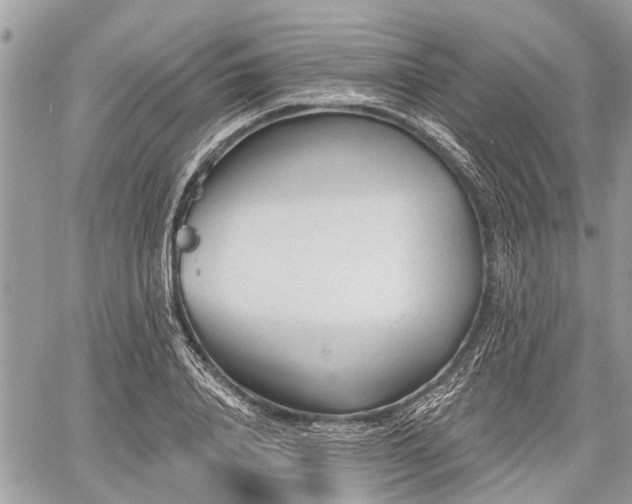 X0000060760840200511141229