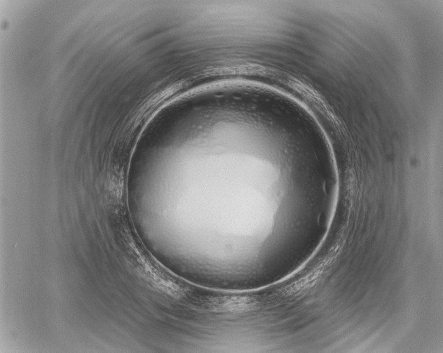 X0000060760841200511141229