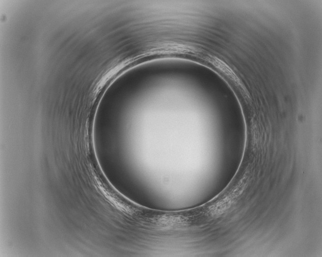 X0000060760842200511141229