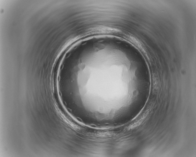 X0000060760843200511141229