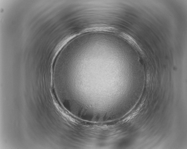 X0000060760844200511141229