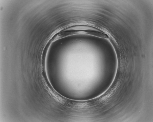 X0000060760845200511141229