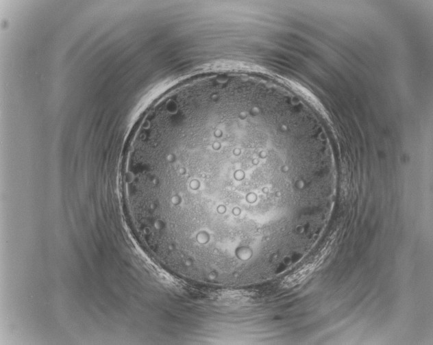 X0000060760847200511141229