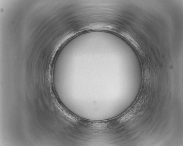 X0000060760848200511141229