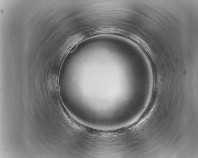 X0000060760849200511141229