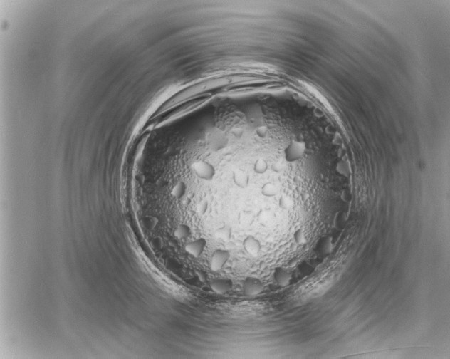 X0000060760851200511141229