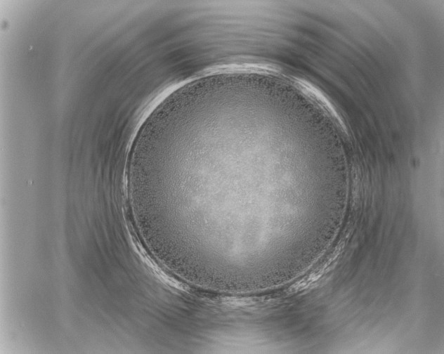 X0000060760852200511141229