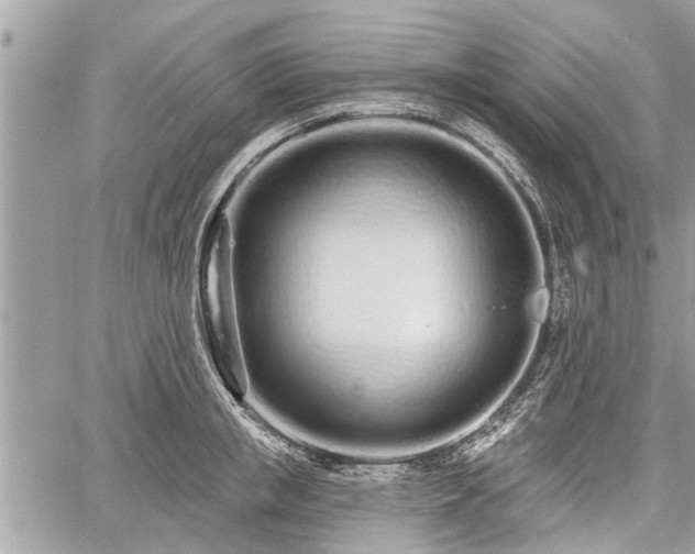 X0000060760853200511141229