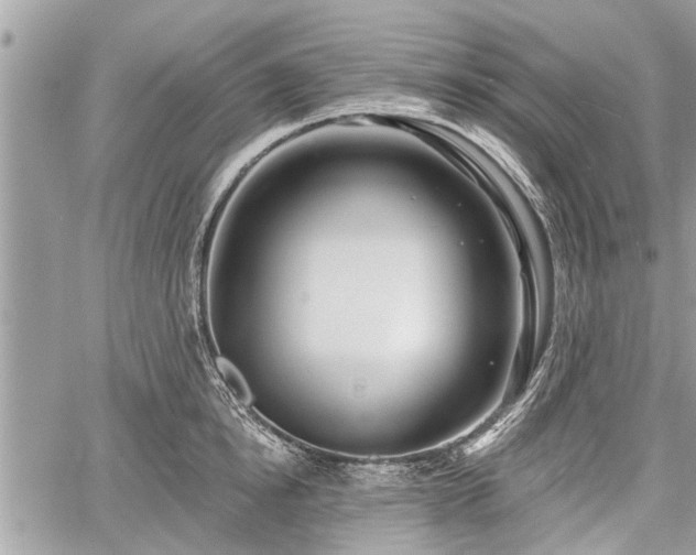 X0000060760854200511141229