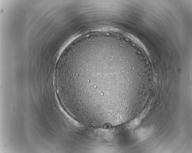 X0000060760855200511141229