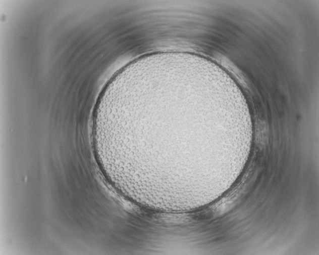 X0000060760856200511141229