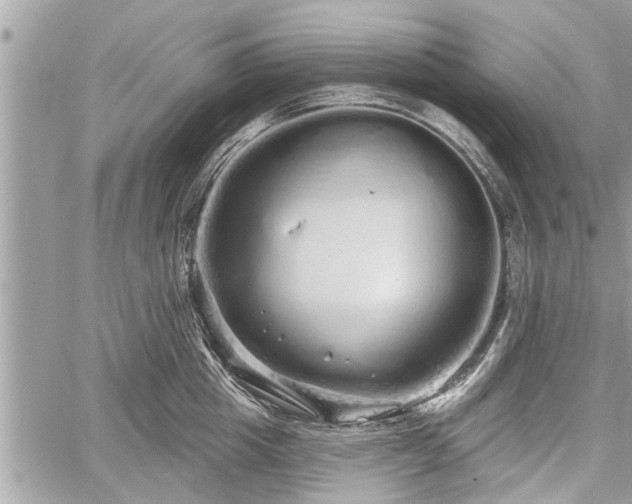 X0000060760857200511141229