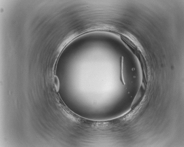 X0000060760858200511141229