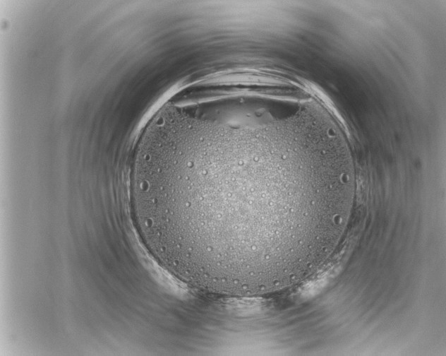 X0000060760859200511141229