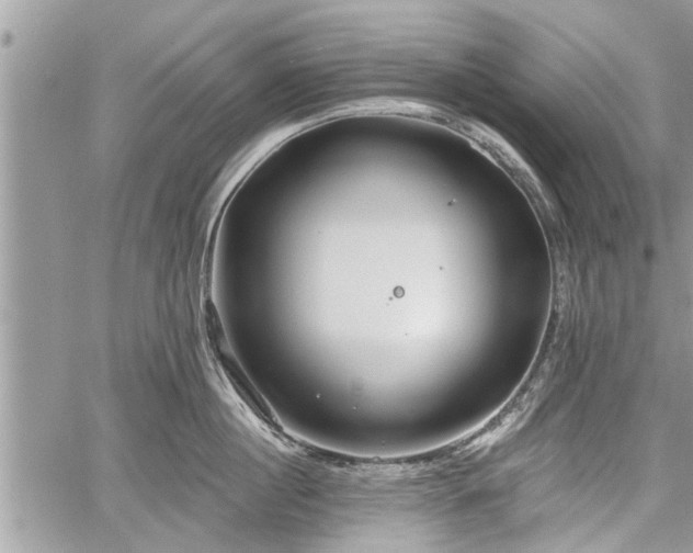 X0000060760860200511141229