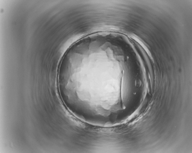 X0000060760861200511141229