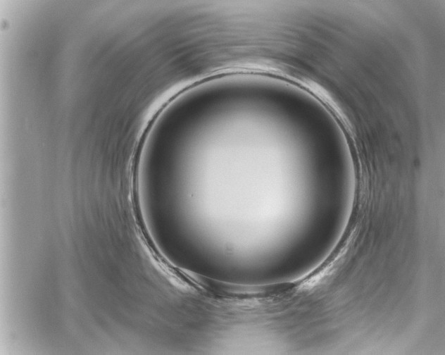 X0000060760862200511141229