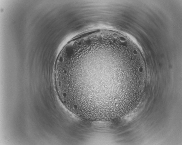 X0000060760863200511141229