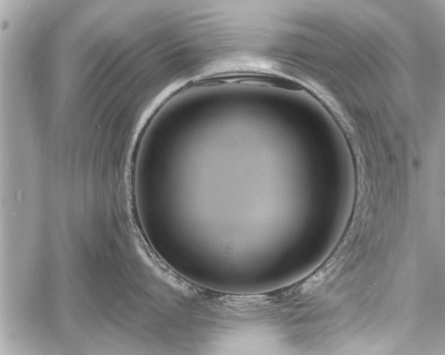 X0000060760864200511141229