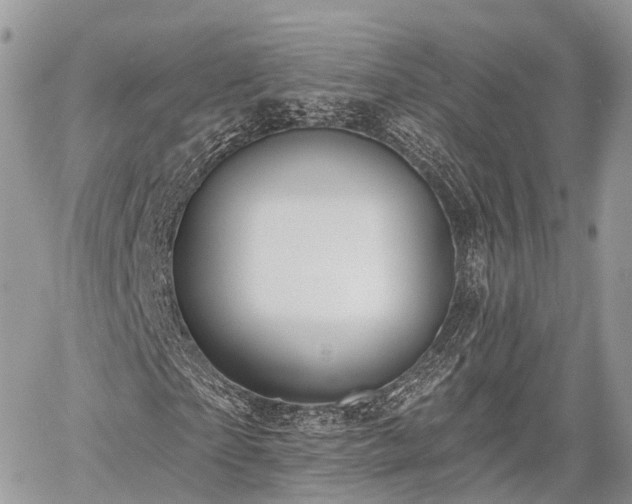 X0000060760865200511141228