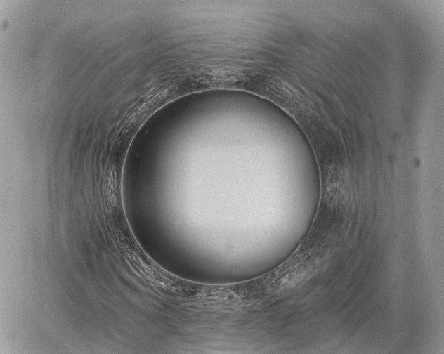 X0000060760866200511141228