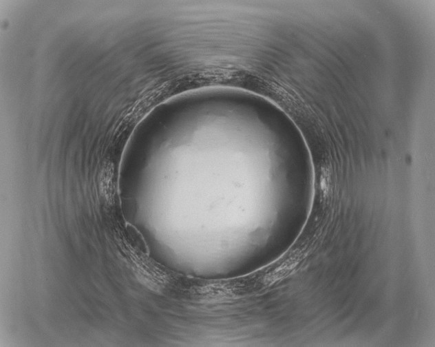 X0000060760867200511141228