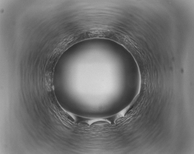 X0000060760868200511141228