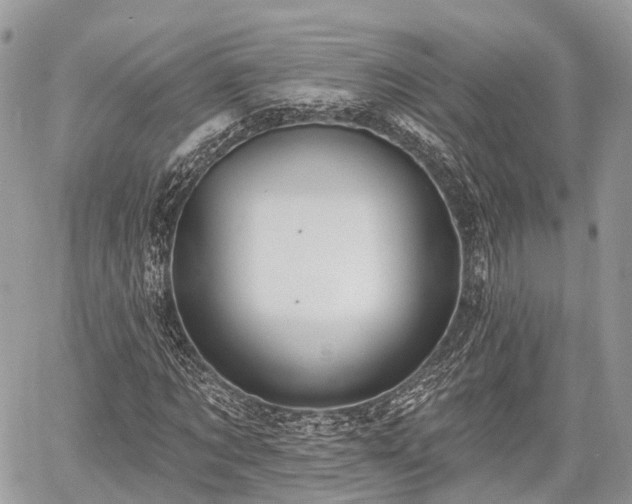 X0000060760869200511141228