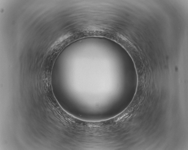 X0000060760870200511141228