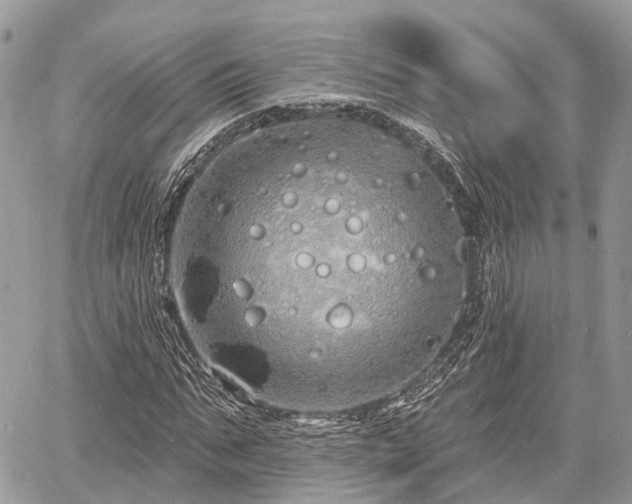 X0000060760871200511141228