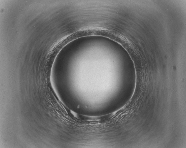 X0000060760872200511141228