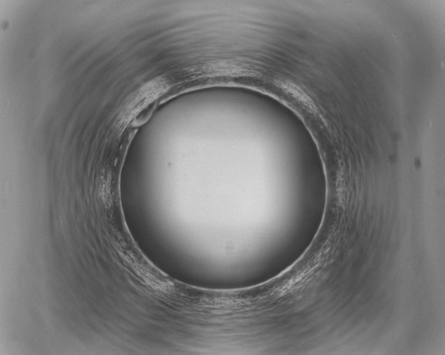 X0000060760873200511141228