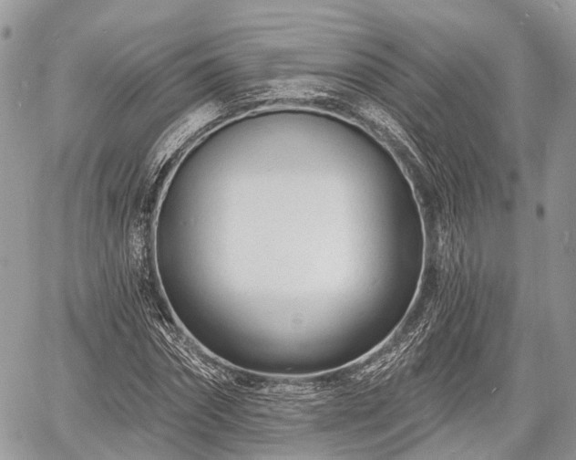 X0000060760874200511141228