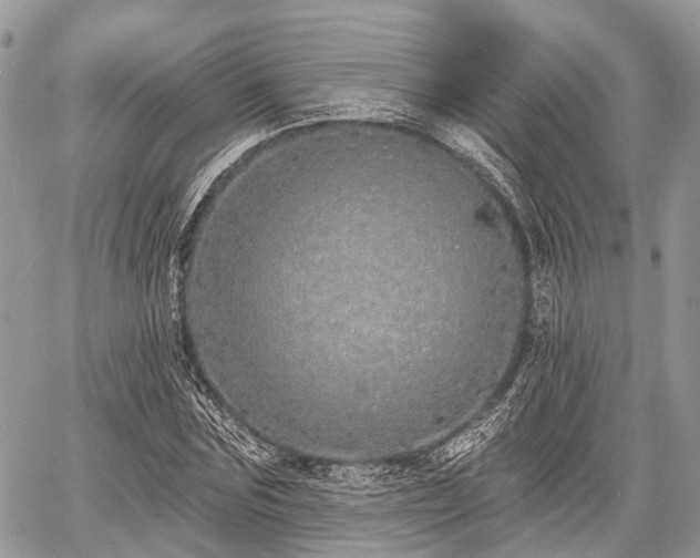 X0000060760875200511141228