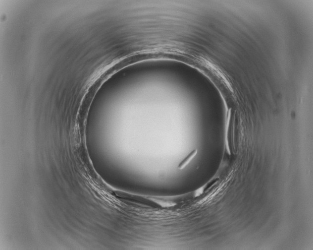 X0000060760876200511141228